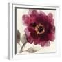 Crimson Peony I-Asia Jensen-Framed Art Print