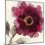 Crimson Peony I-Asia Jensen-Mounted Art Print