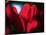 Crimson Petals-Howard Ruby-Mounted Premium Photographic Print