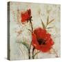 Crimson Poppies I-Tim O'toole-Stretched Canvas