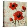 Crimson Poppies II-Tim O'toole-Stretched Canvas