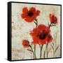 Crimson Poppies II-Tim O'toole-Framed Stretched Canvas