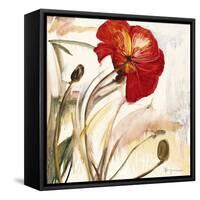 Crimson Poppy 1-Marysia-Framed Stretched Canvas