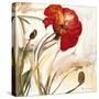 Crimson Poppy 1-Marysia-Stretched Canvas