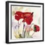 Crimson Poppy 2-Marysia-Framed Giclee Print