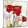 Crimson Poppy 2-Marysia-Mounted Giclee Print