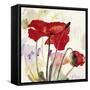 Crimson Poppy 2-Marysia-Framed Stretched Canvas