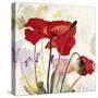 Crimson Poppy 2-Marysia-Stretched Canvas