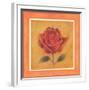 Crimson Roman Rose-Lewman Zaid-Framed Art Print