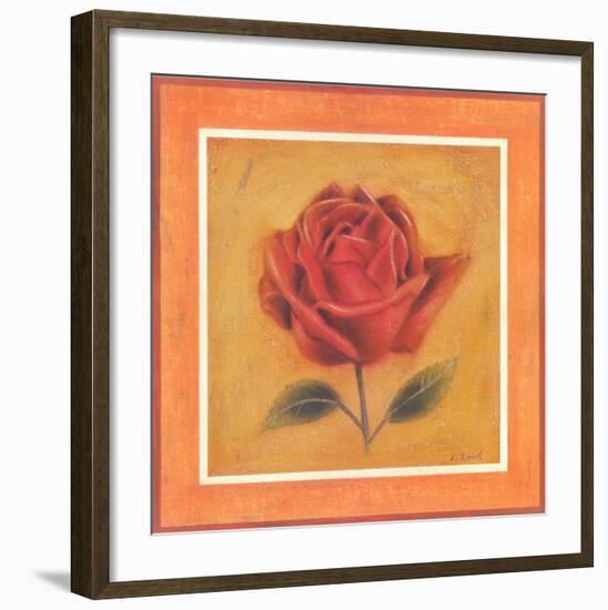 Crimson Roman Rose-Lewman Zaid-Framed Art Print