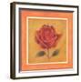 Crimson Roman Rose-Lewman Zaid-Framed Art Print