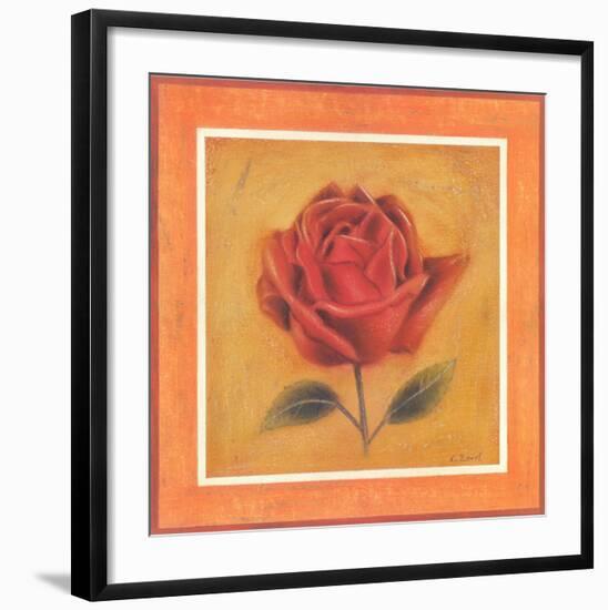 Crimson Roman Rose-Lewman Zaid-Framed Art Print