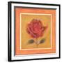 Crimson Roman Rose-Lewman Zaid-Framed Art Print