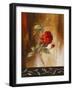 Crimson Rose I-Lanie Loreth-Framed Art Print