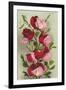 Crimson Sweet Peas-null-Framed Art Print