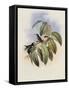 Crimson-Throated Wood Star, Calothorax Ros?-John Gould-Framed Stretched Canvas