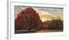 Crimson Trees-Celebrate Life Gallery-Framed Giclee Print