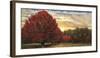 Crimson Trees-Celebrate Life Gallery-Framed Giclee Print