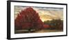 Crimson Trees-Celebrate Life Gallery-Framed Giclee Print