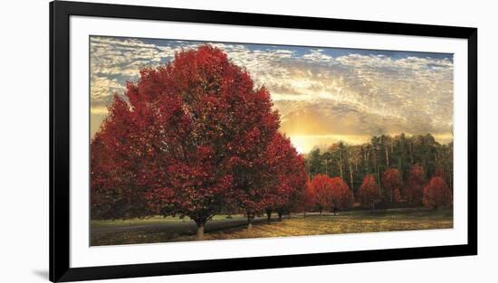 Crimson Trees-Celebrate Life Gallery-Framed Giclee Print