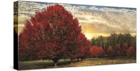Crimson Trees-Celebrate Life Gallery-Stretched Canvas