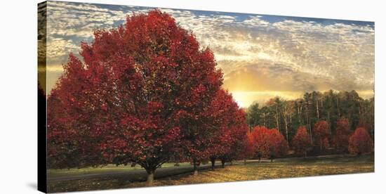 Crimson Trees-Celebrate Life Gallery-Stretched Canvas