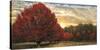 Crimson Trees-Celebrate Life Gallery-Stretched Canvas