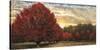 Crimson Trees-Celebrate Life Gallery-Stretched Canvas