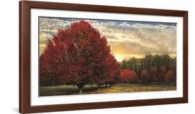 Crimson Trees-Celebrate Life Gallery-Framed Art Print