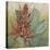 Crimson Tropical I-Megan Meagher-Stretched Canvas