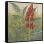 Crimson Tropical II-Megan Meagher-Framed Stretched Canvas
