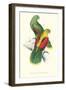 Crimson Winged Parakeet - Aprosmictus Erythropterus-Edward Lear-Framed Art Print