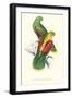 Crimson Winged Parakeet - Aprosmictus Erythropterus-Edward Lear-Framed Art Print