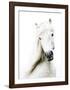 Crin Blanc-Blonde Attitude-Framed Art Print