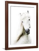 Crin Blanc-Blonde Attitude-Framed Art Print