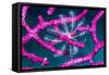Crinoid on Soft coral, Indonesia-Georgette Douwma-Framed Stretched Canvas