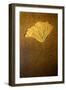 Crinoids II-Douglas Taylor-Framed Photographic Print