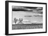 Crisp Fall Day-Trent Foltz-Framed Giclee Print