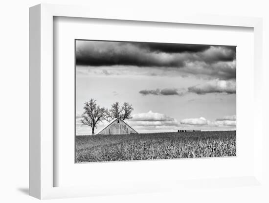 Crisp Fall Day-Trent Foltz-Framed Art Print