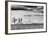 Crisp Fall Day-Trent Foltz-Framed Art Print