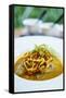 Crispy Noodles and Thai Curry, Chiang Mai, Thailand, Southeast Asia, Asia-Alex Robinson-Framed Stretched Canvas