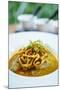 Crispy Noodles and Thai Curry, Chiang Mai, Thailand, Southeast Asia, Asia-Alex Robinson-Mounted Photographic Print