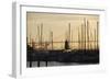 Crissy Field Marina, San Francisco, California-Anna Miller-Framed Photographic Print