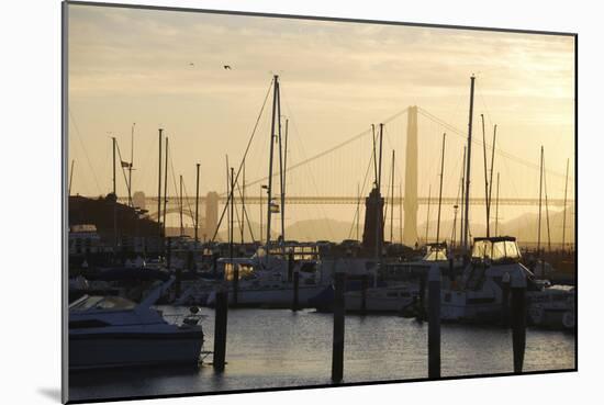 Crissy Field Marina, San Francisco, California-Anna Miller-Mounted Photographic Print