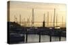 Crissy Field Marina, San Francisco, California-Anna Miller-Stretched Canvas