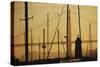 Crissy Field Marina, San Francisco, California-Anna Miller-Stretched Canvas