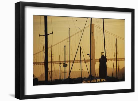 Crissy Field Marina, San Francisco, California-Anna Miller-Framed Photographic Print