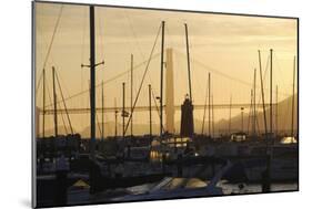 Crissy Field Marina, San Francisco, California-Anna Miller-Mounted Photographic Print