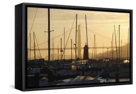 Crissy Field Marina, San Francisco, California-Anna Miller-Framed Stretched Canvas