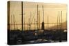 Crissy Field Marina, San Francisco, California-Anna Miller-Stretched Canvas